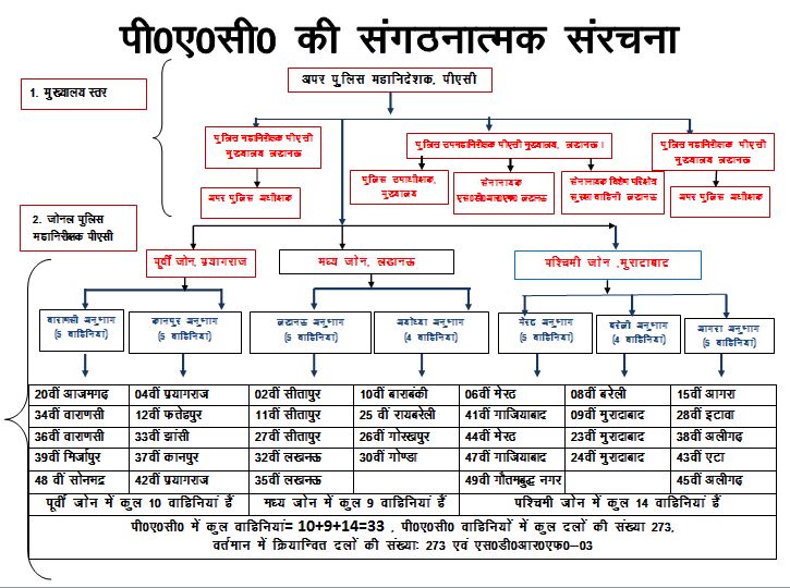 PAC ORGANISATION